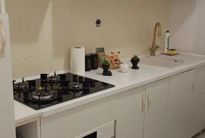 Apartament cu 2 camere semidecomandat în Craiovei - 9