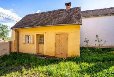 Vand casa in Chesin?, com. Zabrani, jud. Arad 2.376 mp teren - 6