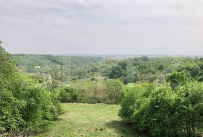 Teren intravilan, parcelat 7600+5700+1400, Manastirea Dealu - 2