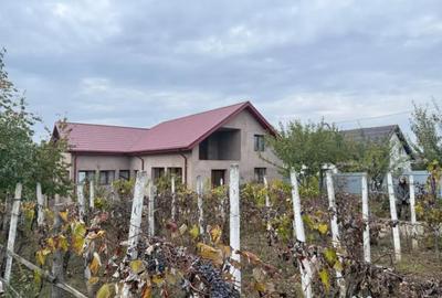 Casă cu 1 camere cu Teren 3000 Mp în Central - 3