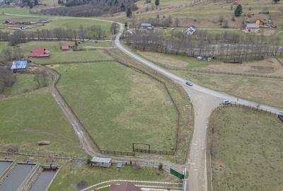 Teren intravilan, 6.900 mp, construibil - Plaiul Foii, Zarnesti - 4