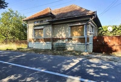 Casă cu 4 camere cu Teren 3196 Mp în Ohaba - 8