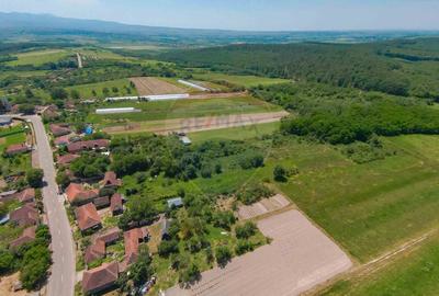 Casa  cu 3 camere si teren 4,342 mp de vanzare in Valea Mare de Codru - 3