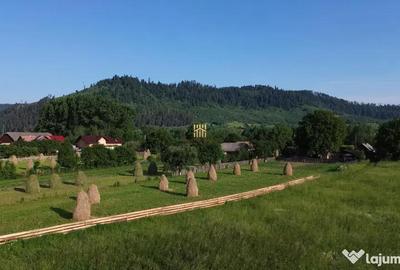 Teren de 10304 mp, în Slatina - 11