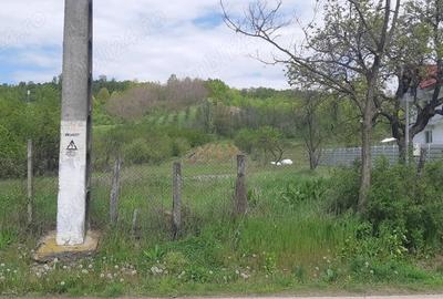 Teren de 3500 mp, în Ștefănești - 4