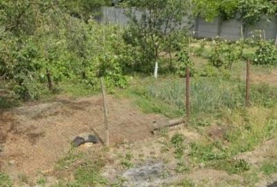 Dambovita, Darza, Crevedia - 3