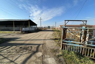 Spațiu comercial, de 7,000 mp, în Central - 6