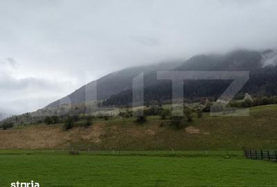Teren de 1240 mp, în Plaiul Foii - 1