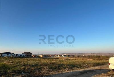 RECO Casa la cheie cu 3 dormitoare, plan parter Paleu - 4