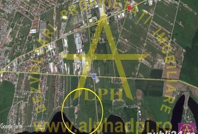 Teren de 3185 mp, în Cernica - 1