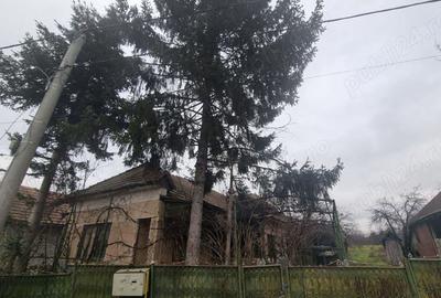 Casa de vanzare Band - 3