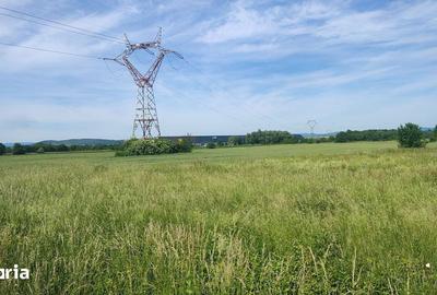 Teren de 10889 mp, în Băcia - 4