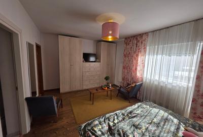 Dristor, Camil Ressu, 15 minute metrou, pe strada Ilioara - 14