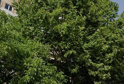 Apartament 3 camere, 69 mp, renovat total | Parc Tineretului, Sector 4 - 8