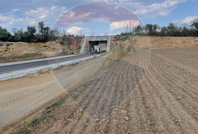 Teren 12,800mp Carcea / Strada Sergentului - 4
