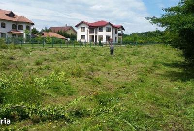 Teren de 3665 mp, în Păulești - 4