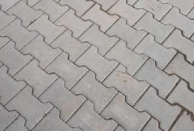 Casă în Radu Negru - 2