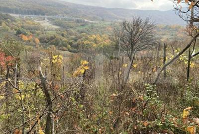 Teren de 787 mp, în Central - 5