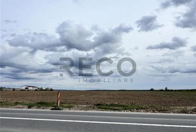 Teren de 11557 mp, în Fughiu - 4