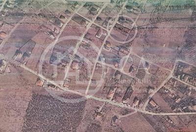 Teren de 793 mp, în Paleu