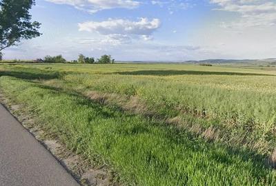 Teren de 4200 mp, în Bogdan Vodă - 1