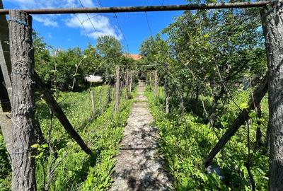 Casa la Ciovarnasani 3600mp - 1