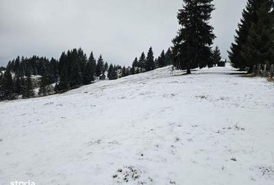 Teren de 25731 mp, în Breaza - 7