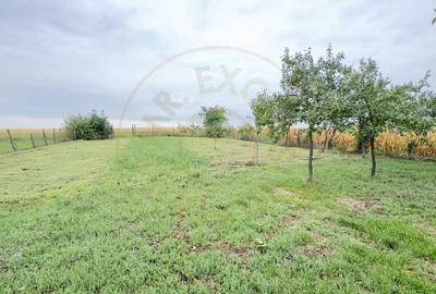 Casa 2 camere, Teren 1525 mp Loc. Tiream , Str. Coloniei Nr.44-Jud. Satu Mare - 10