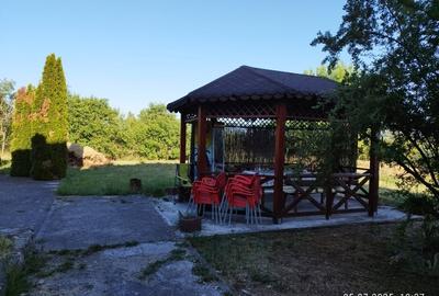 Vând  casă mare cu etaj  8 camere curte cu filigorie  Tinăud -Alesd - 4