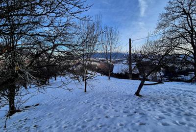 Teren intravilan Simon/Bran, 4318 mp , casuta intabulata, utilitati - 13