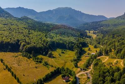 Teren extravilan de 20000 mp, în Dălghiu - 9