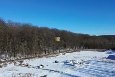 Teren în Dragomirna - 4