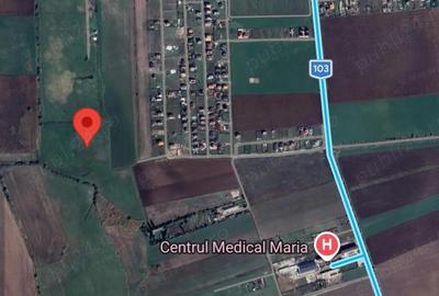 Teren de 7000 mp, în Bod - 3