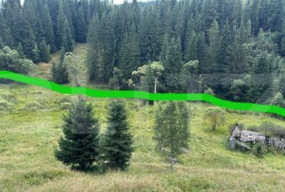 Teren intravilan de vanzare, 6941 mp, zona Mestecani? - 4