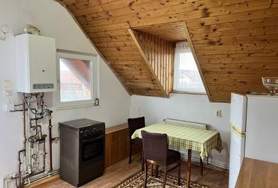 Garsonieră semidecomandată în Terezian - 7