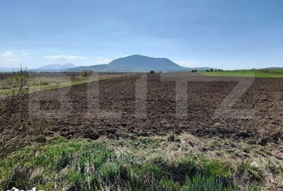Teren de 15000 mp, în Central - 4