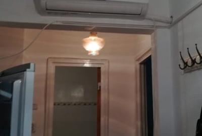 Drumul Taberei - Favorit-  Pet Friendly - 3