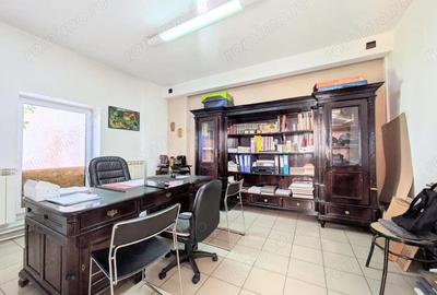 Spațiu comercial, de 600 mp, în Iosefin - 7