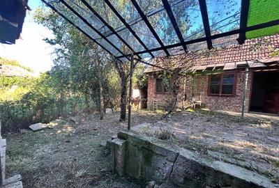 Bocsa Romana, 2 Corpuri de cladire cu Teren de 555 mp. si ga - 13