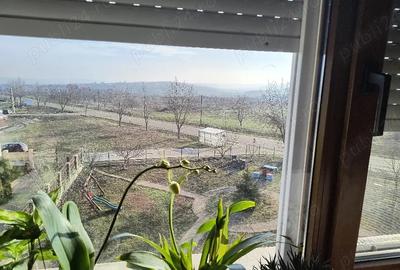 Apartament cu 3 camere decomandat în Paleu - 3