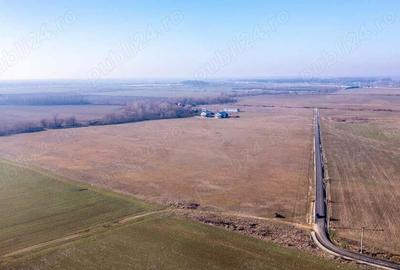 Teren intravilan 5 Ha, Bucuresti-Sud,Vidra Ilfov, Aproape de centura sud. - 6