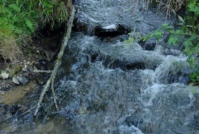 Teren de 25000 mp, în Șaru Dornei - 3