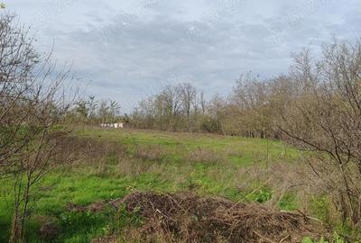 Teren de 2014 mp, în Istria - 3