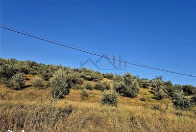 Teren de 27660 mp, în Lețcani - 1