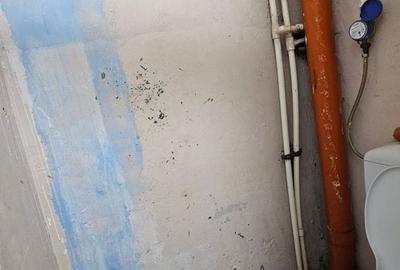 Apartament în Gemenii - 5