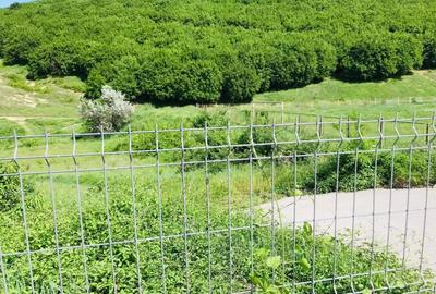 BABADAG -TEREN INTRAVILAN , 1000 MP - 4