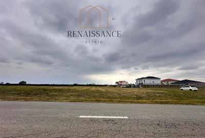 Mosnita Noua Teren 10.000mp | Front 63m | La asfalt - Zona de Case - 1