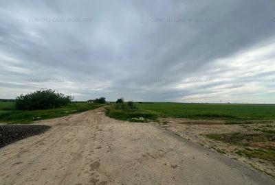 Balaceanca- teren  intravilan, toate utilitatile, 9740 mp, - 8