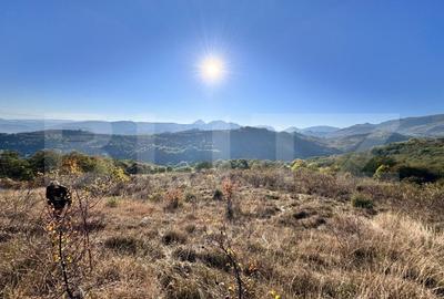 Teren de vanzare - 1