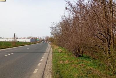 Teren intravilan 5.000 m² cu 40 m deschidere la DN2A – langa Kaufland Slobozia - 16